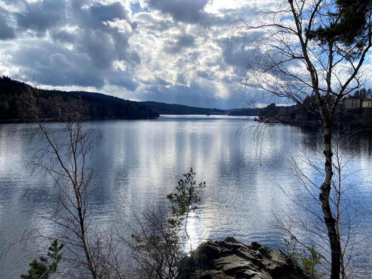 Prazdninovy Domek Kobylnice Lipno nad Vltavou Kültér fotó